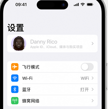 安吉appleID维修服务iPhone设置中Apple ID显示为灰色无法使用 