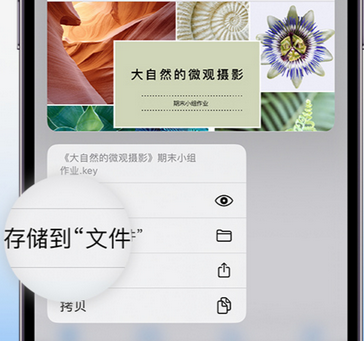 安吉apple维修中心分享iPhone文件应用中存储和找到下载文件