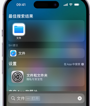 安吉apple维修中心分享iPhone文件应用中存储和找到下载文件