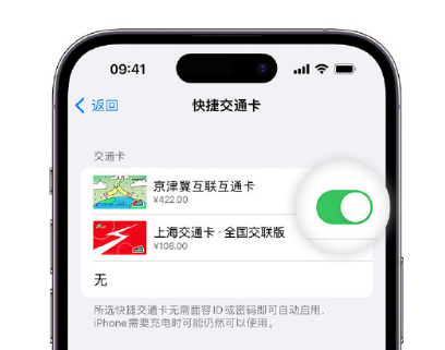 安吉apple维修点分享iPhone上更换Apple Pay快捷交通卡手绘卡面 