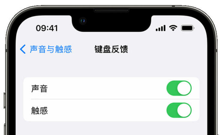 安吉苹果手机维修分享iPhone 14触感键盘使用方法 