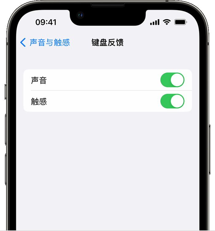 安吉苹果14维修店分享如何在 iPhone 14 机型中使用触感键盘 