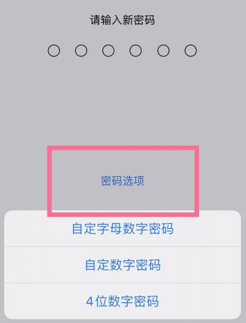 安吉苹果14维修分享iPhone 14plus设置密码的方法 