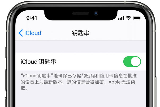 安吉苹果手机维修分享在 iPhone 上开启 iCloud 钥匙串之后会储存哪些信息 