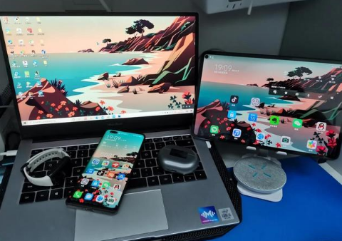 安吉苹果手机维修分享为什么iPad屏幕更大价格却比iPhone低 